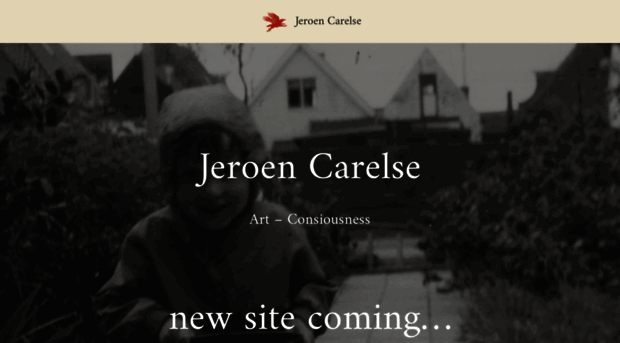 jeroencarelse.com