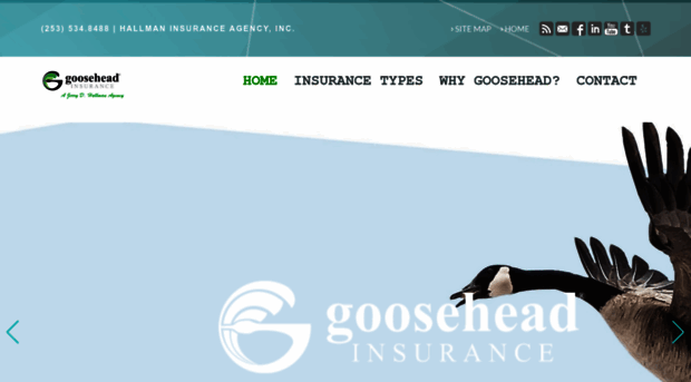 jerryhallmaninsurance.com