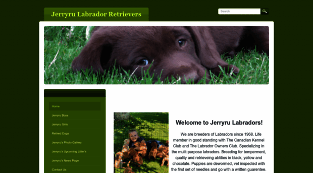 jerryrulabradorretrievers.com