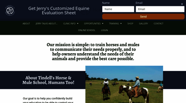 jerrytindell.com