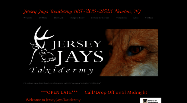 jerseyjaystaxidermy.com