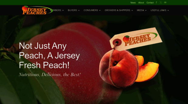 jerseypeaches.com