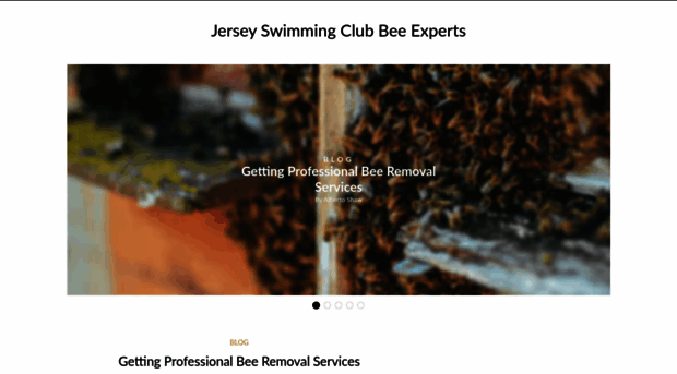 jerseyswimmingclub.com