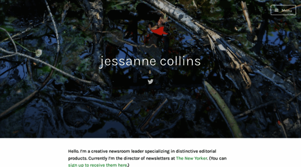 jessannecollins.wordpress.com