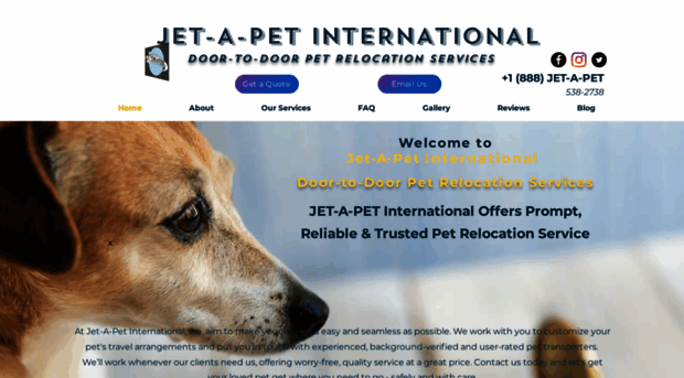 jetapetinternational.com