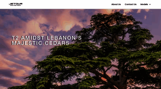 jetourlebanon.com