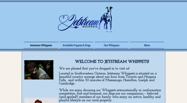 jetstreamwhippets.com