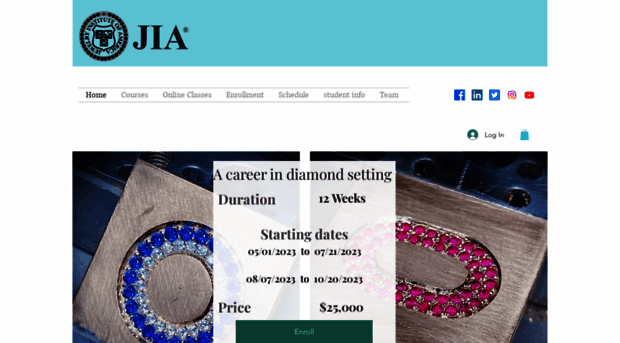 jewelryinstitute.org