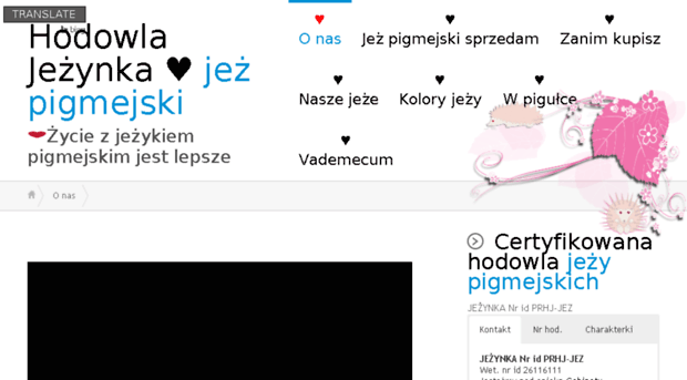 jezpigmejski.com.pl