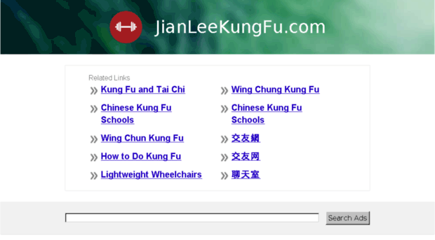 jianleekungfu.com