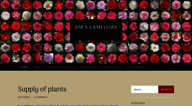 jimscamellias.com