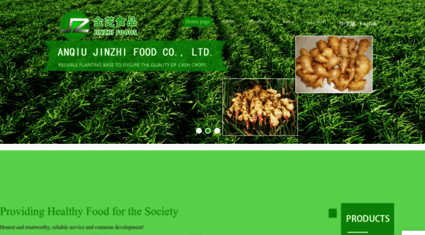 jinzhifoods.com