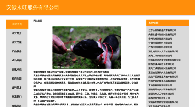 jiuxi01.com