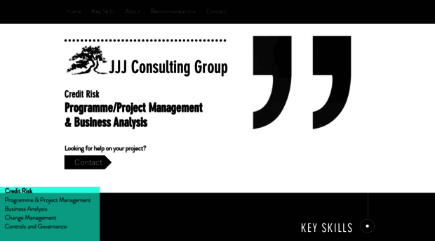 jjjconsultinggroup.com