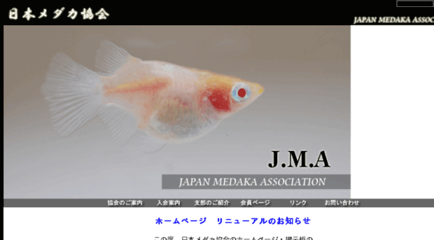 jma-medaka.org