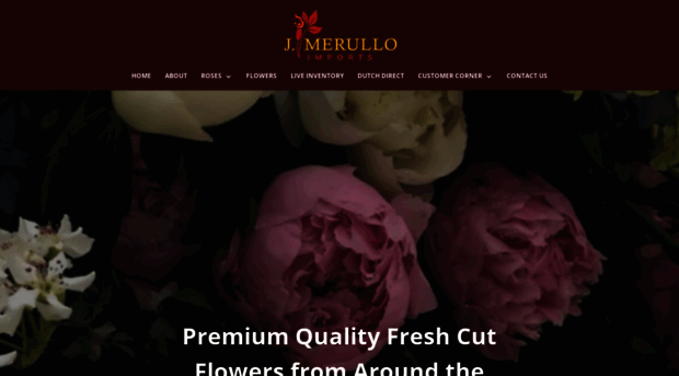 jmerulloimports.com