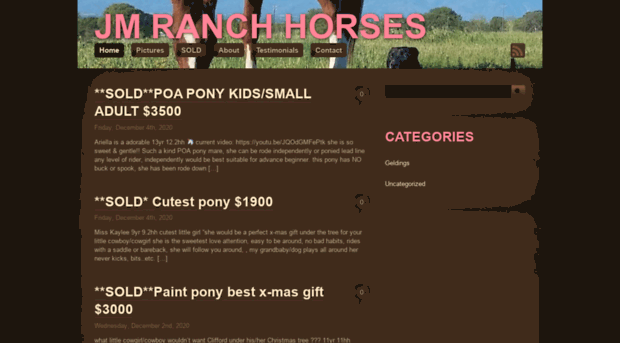 jmranchhorses.com