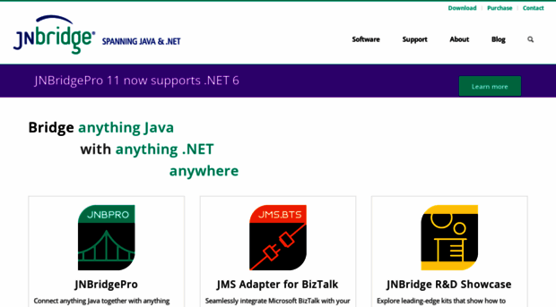 jnbridge.com