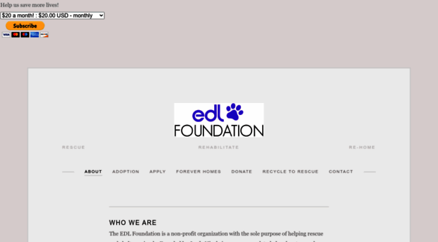 jnffoundation.com