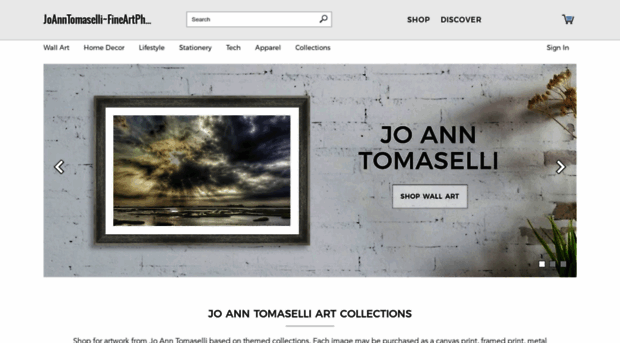 jo-ann-tomaselli.artistwebsites.com