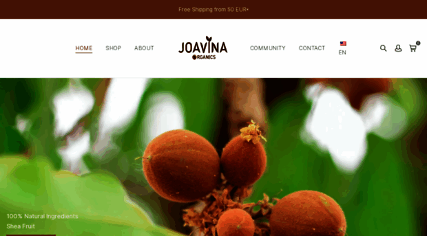 joavina.com