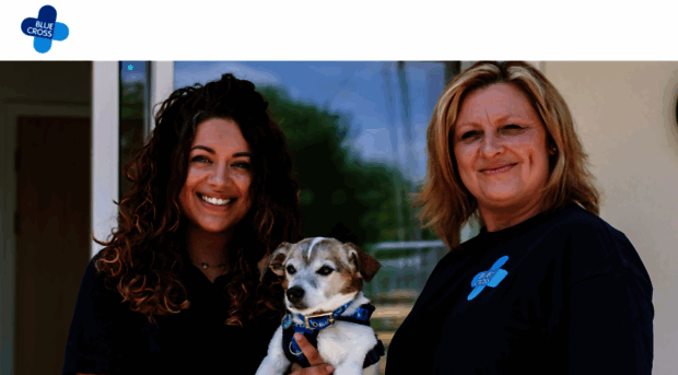 jobs.bluecross.org.uk