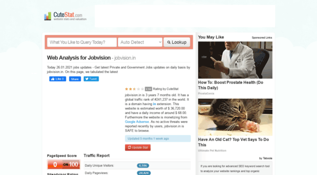 jobvision.in.cutestat.com