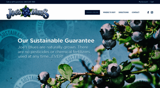 joesblueberries.com