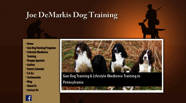 joesdogtraining.com