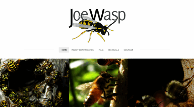 joewasp.com