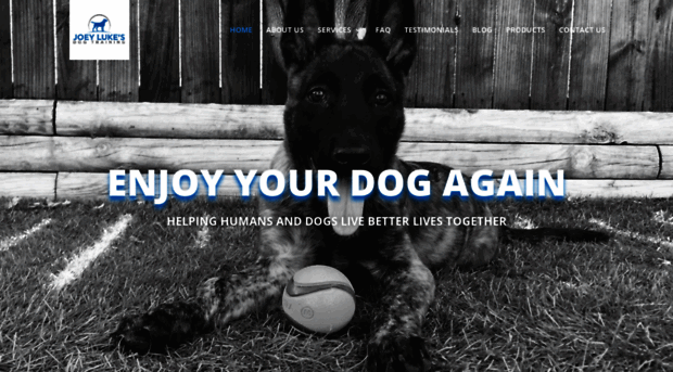 joeylukesdogtraining.com