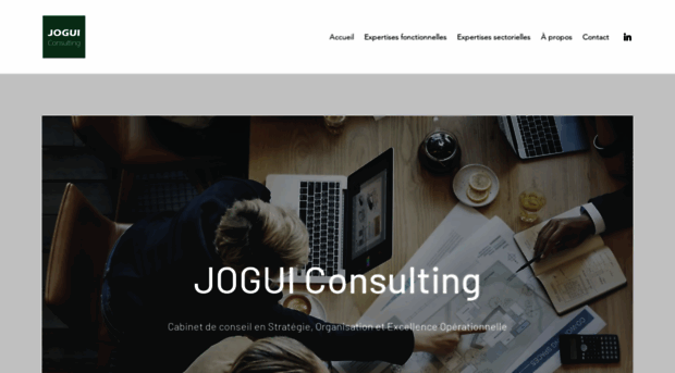 joguiconsulting.com