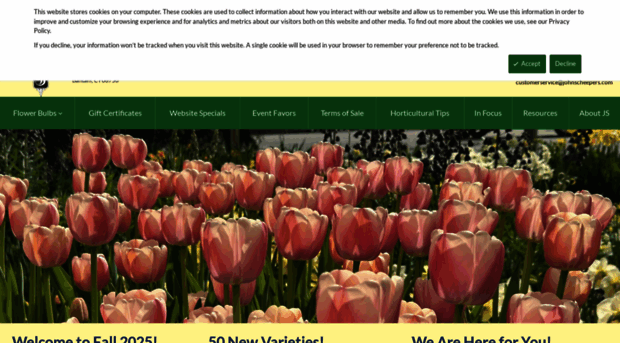 johnscheepers.com