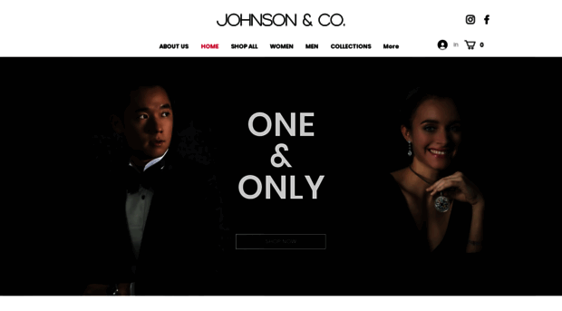 johnsonco.com.hk