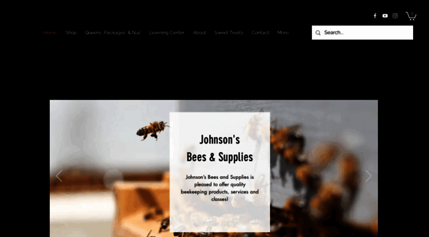 johnsonsbeesandsupplies.com