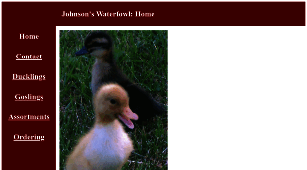 johnsonswaterfowl.com