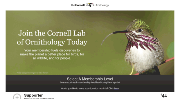 join.birds.cornell.edu