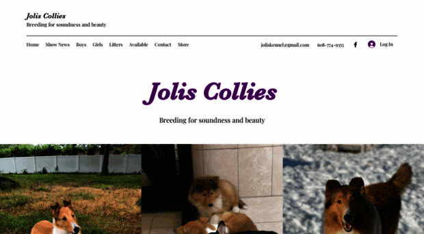 joliscollies.com