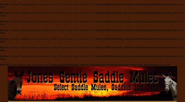 jonesgentlesaddlemules.com