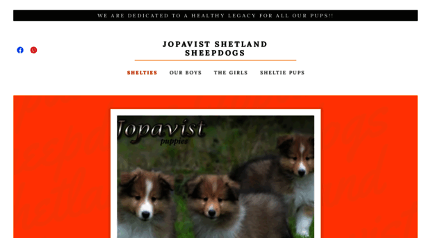 jopavistsheltieshop.com