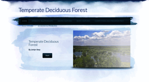 jordynstemeratedecidousforestbiome.weebly.com