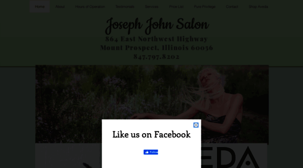 josephjohnsalon.net