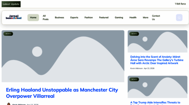 journalbuzzechofeed.com