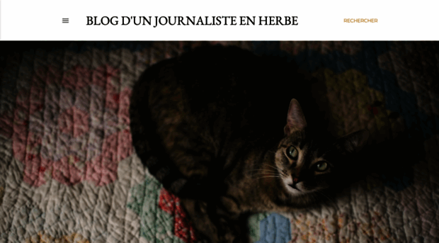journaliste-en-herbe.blogspot.fr