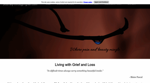 journey-through-grief.com