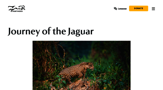 journeyofthejaguar.org