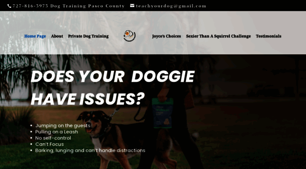 joycemooredogtraining.com