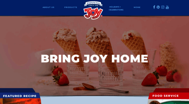 joycone.com