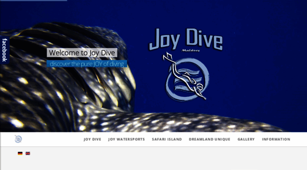 joydive.com