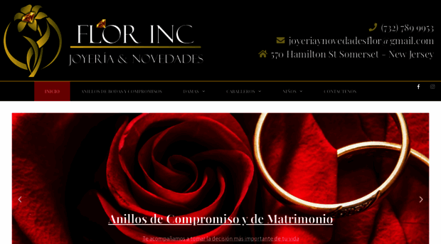 joyeriaynovedadesflor.com